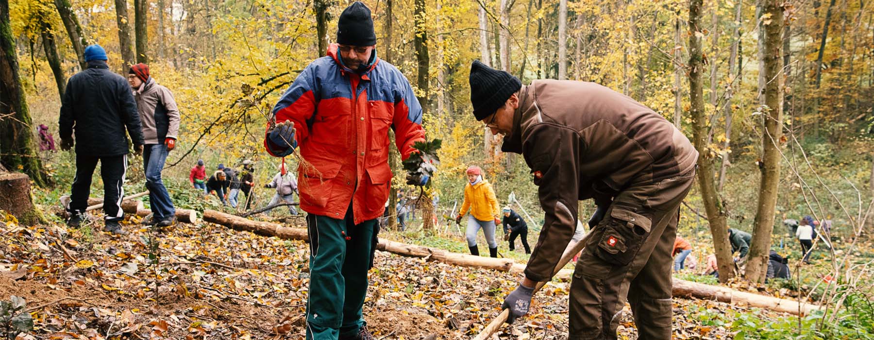 Bergwald News#